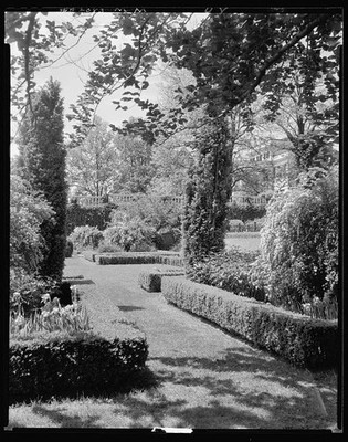 Oatlands,estates,gardens,hedges,Leesburg,VA,Virginia,Architecture,South,c1930