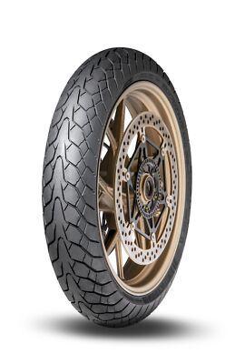 Ducati Desert Schlitten Fasthouse Scrambler 803 ABS 2021 Dunlop Mutant Vorderrad