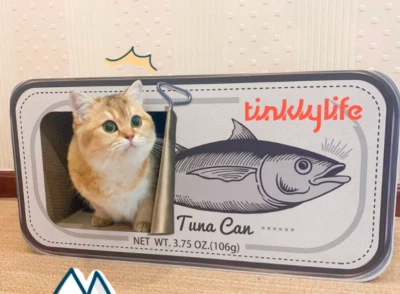 greek spur thighed tortoise