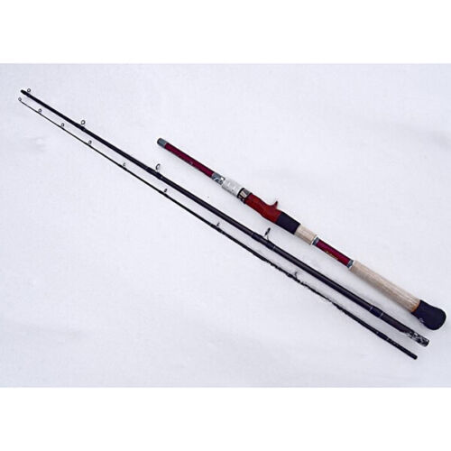 Fishman BRIST VENDAVAL 8.9M Seabass Bait casting rod From Stylish anglers Japan - Foto 1 di 4