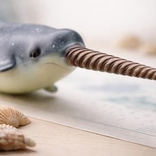 Narwhal Figurine Educational Narwhal Toy Model Gift Idea for Playtime, Kids