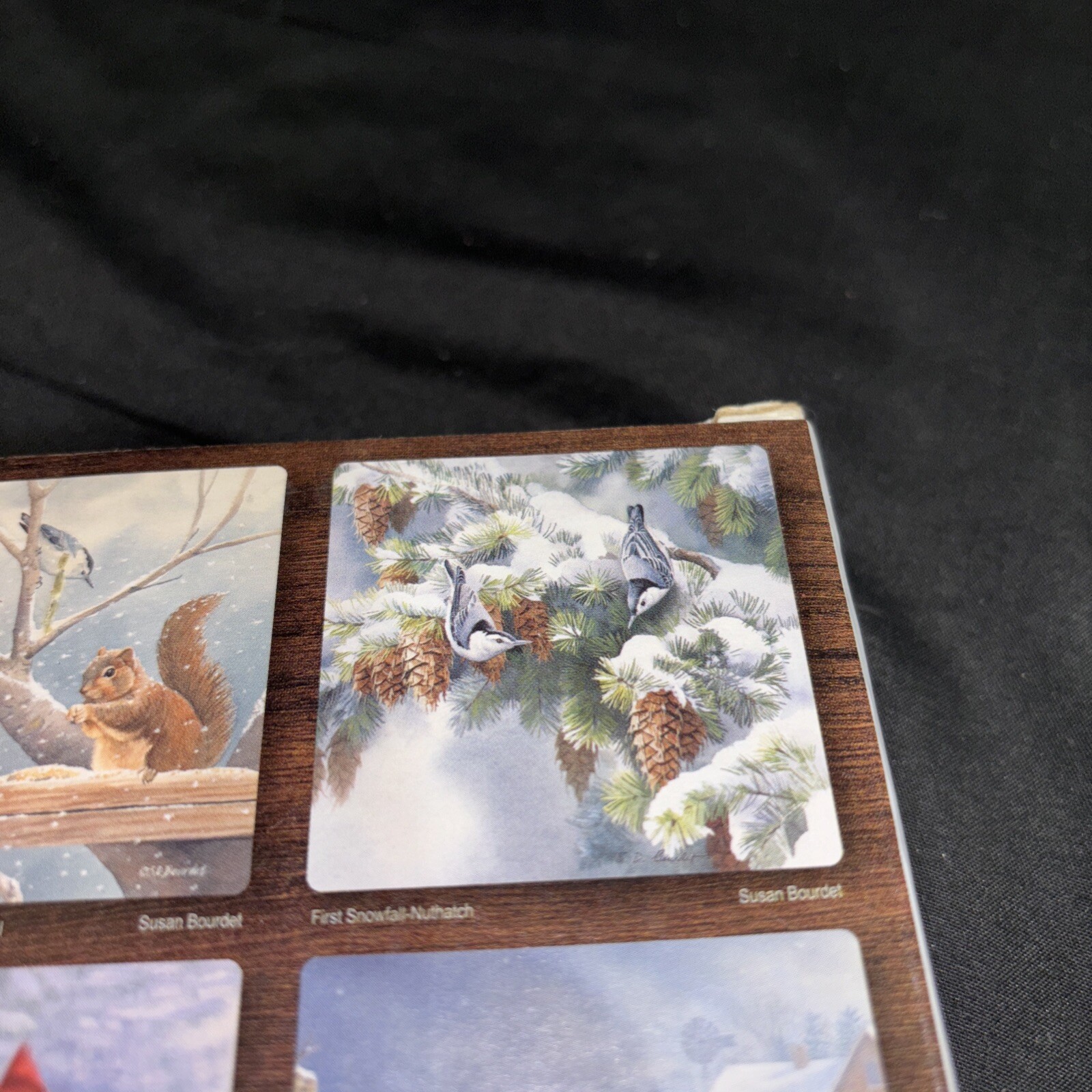 Bild 15 von 24