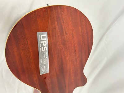 Pro Martin Acoustic-Electric Guitar Ea500W Vs Used From