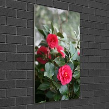 Wand-Bild Kunstdruck aus Hart-Glas Hochformat 50x100 Kamelie