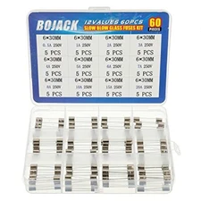 BOJACK 12 Values 60 Pcs Slow Blow Glass Fuses Assortment Kit 6x30 mm 250V T 