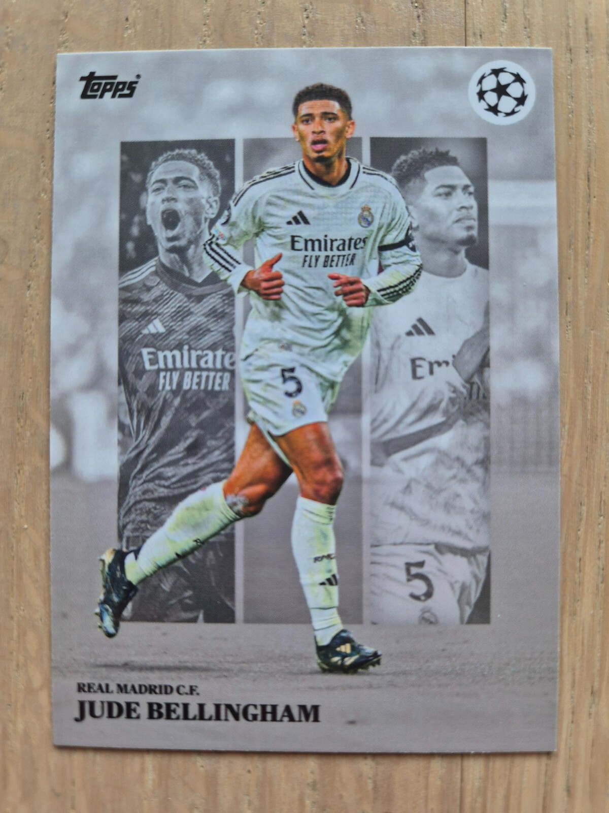 Bild 91 von 114