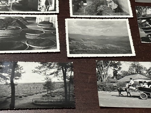 24 1960 Fotos Ban Me Thuot Pleiku Vietnam Ede Rhade Akt Frauen Straßenszene Tee - Bild 7 von 18