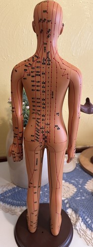 Acupuncture Female Model High Definition Chinese Human Body W/ Instructions 20” - Picture 9 of 23
