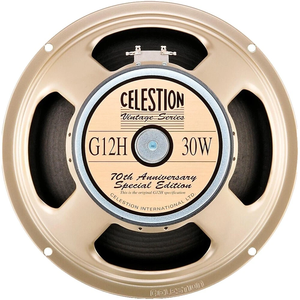 Celestion Cabinet Guitar Amplifiers