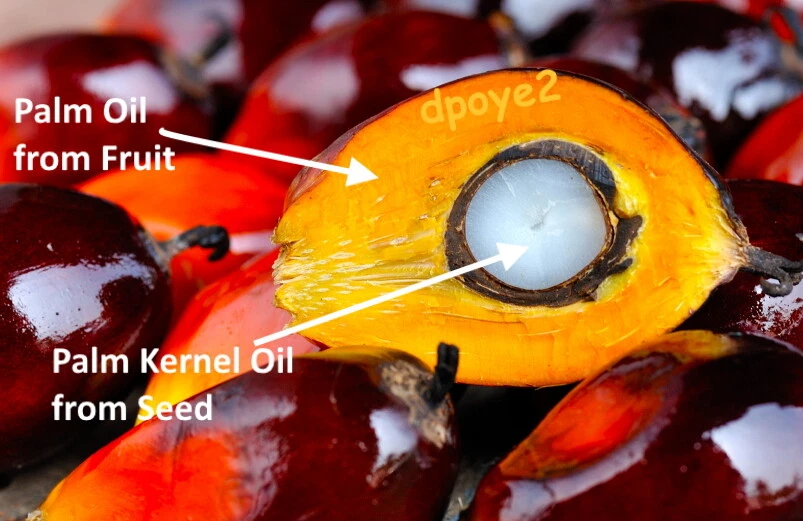 Authentic Pure Unrefined Palm Kernel Oil Adin Dudu, Aki up to 300g from Nigeria - Image 3 of 4