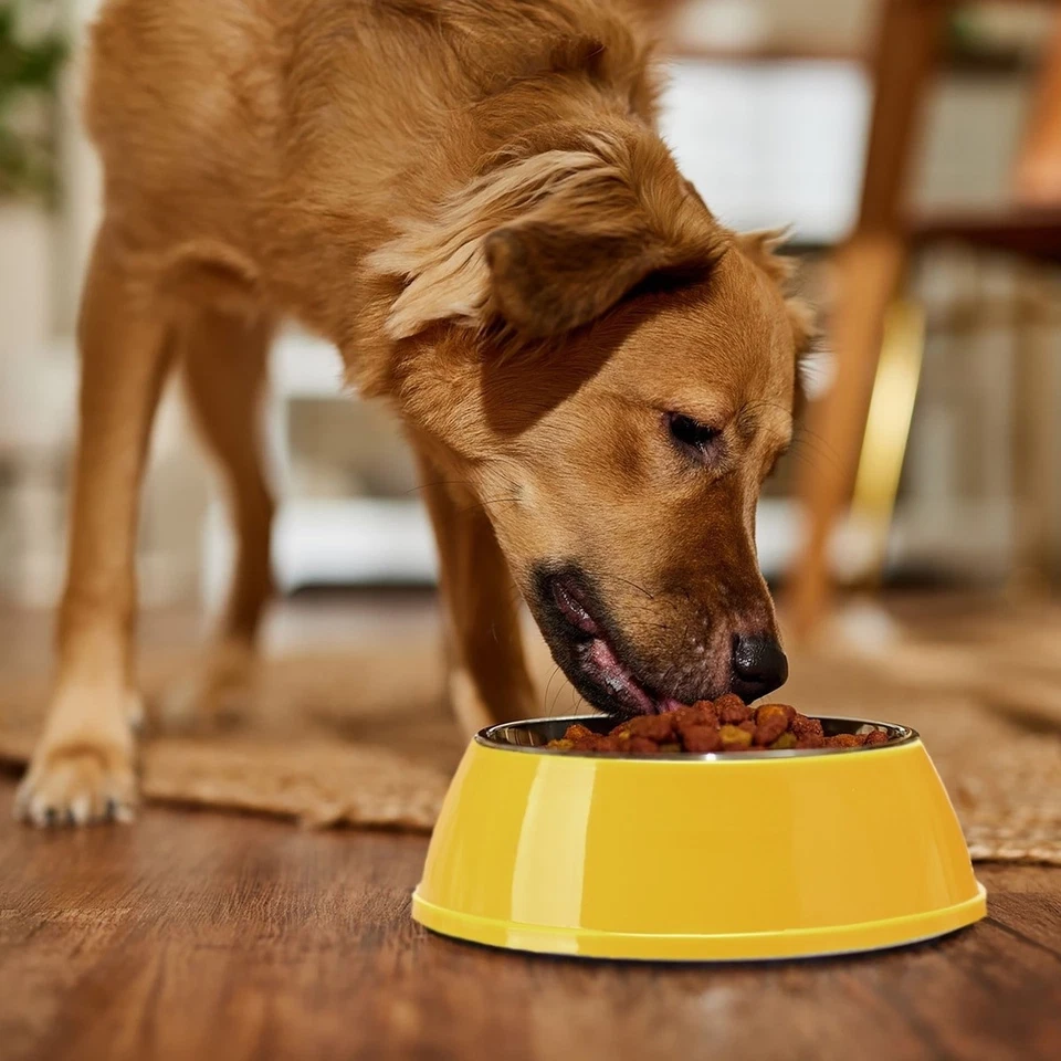 2 件装 Pedigree 完整营养成人干狗烤牛排蔬菜 44 磅 — 第 3/4 张图片