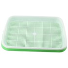 Nursery Pots Tray 1 Set Buckwheat Double Layer Germination Hydroponics