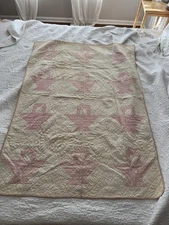 EXQUISITE Vintage 1880s Crib Quilt - Baskets Pink White Feather Quilting