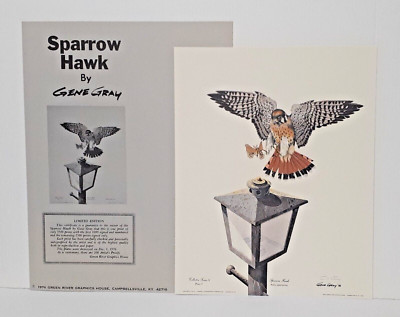 Gene Hawk GENE GRAY