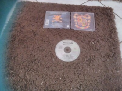 RUNNING WILD  BLAZON  STONE   CD    NOISE  1991