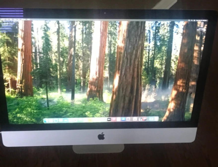 Apple iMac SSD (Solid State Drive) 1 TB or more Apple Desktops