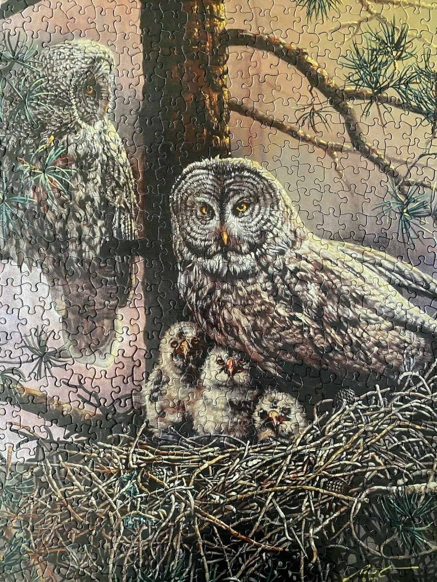 Gray Sheep グレシプ Great Busters ver. OWL heres-a-great-gray-owl-close-