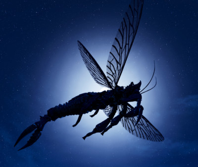 Ark Survival Ascended PvE   Rhyniognatha