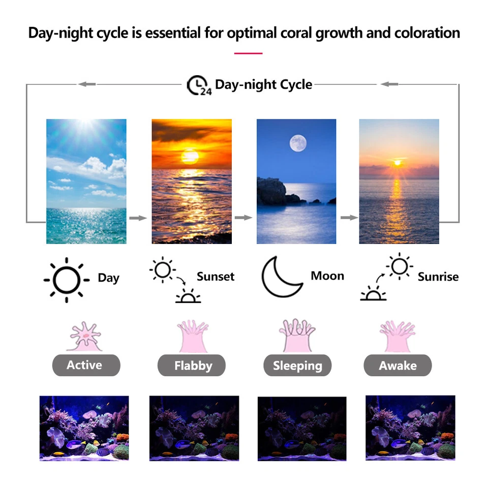 60 90 120cm Full Spectrum Aquarium LED Light Lighting Aqua Marine Fish Tank Lamp - Image 4 of 4