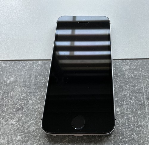 Apple iPhone Se 1. Generation Batterie 95%