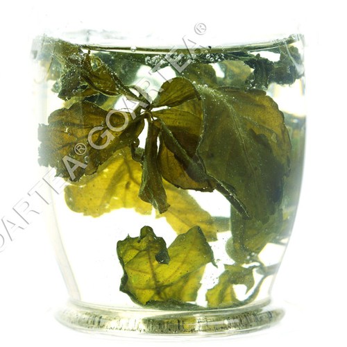 GOARTEA Premium Jiaogulan Gynostemma Pentaphyllum Té Herbal Flor Verde Suelto - Imagen 5 de 6