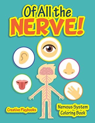 Of All the Nerve! Nervous System Coloring Book by Creative Playbooks ...