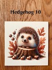 Bild 16 von 16