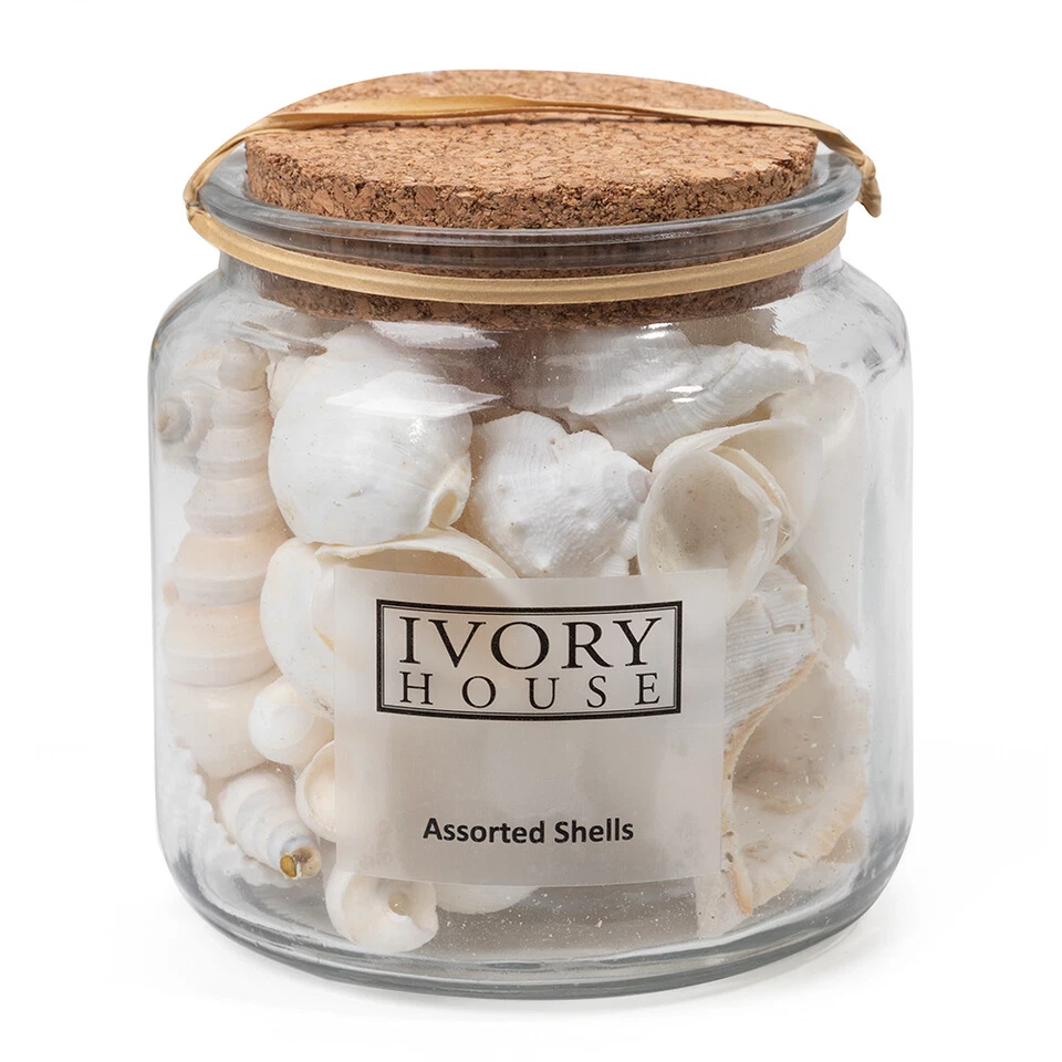 NEW Ivory House Mixed Shells Short Jar White