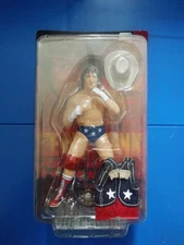 Terry Funk Charapro Figure 2006 All Japan Pro Wrestling WCW ECW NWA