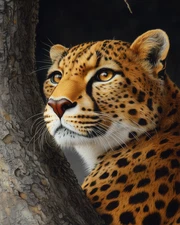 8x10 Wildlife Art Print - 471490934