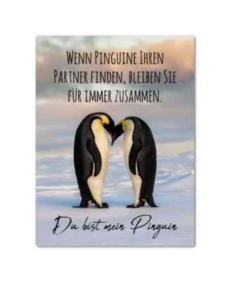 Magnet - DU BIST MEIN PINGUIN - MN29 Kühlschrankmagnet 3D