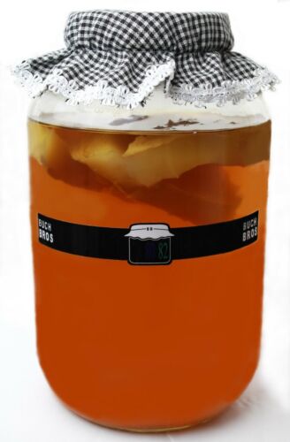 Thermometer Strips Set of 4 - For - Kombucha - Wine - Beer or Aquariums - Picture 4 of 5