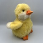 Picture 3 of 6