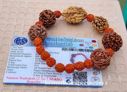 Bracciale Rudraksha 2 3 4 5 6 7 Mukhi (Faccia) Perline Mala - Certificato Lab - Foto 2 di 3
