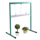 iPower 24W 2 Feet T5 6400K Fluorescent Grow Light Stand Rack for Seed Starting