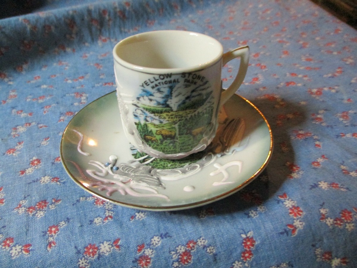 石製カップ Yellow Stone National Park Dragonware Cup & Saucer Made Japan Cup