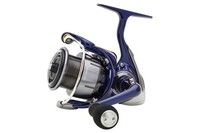 Daiwa 24 Tdr2508Qd By Tackle-Deals !!!