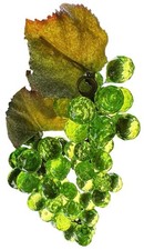 Grape Cluster Green Faceted Acrylic Grapes Su...