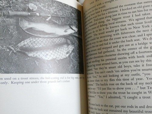 TROUT FISHING BY DAN HOLLAND 1ST EDITION PUB 1949 iLLUSTRATED 410 PAGES H/C - Picture 10 of 11