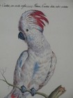 Bild 8 von 11