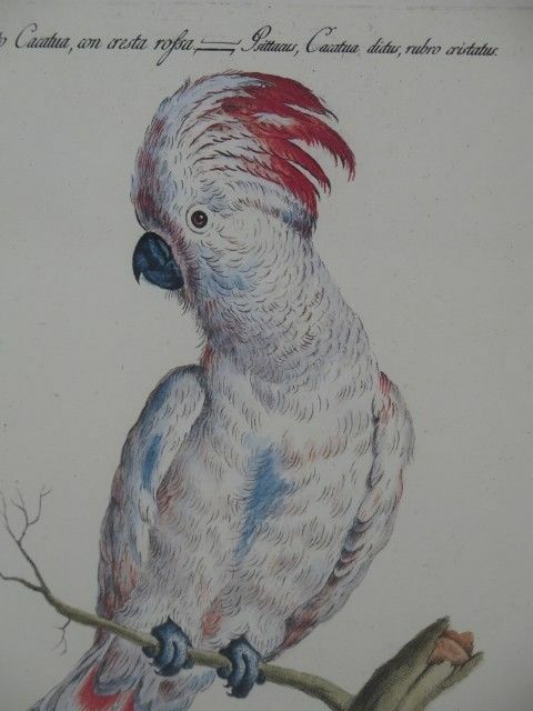 Bild 8 von 11