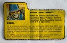 Foto 9 di 10