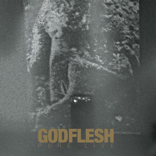 Godflesh Pure: Live (Vinyl) 12" Album Coloured Vinyl (UK IMPORT) - Picture 1 of 1
