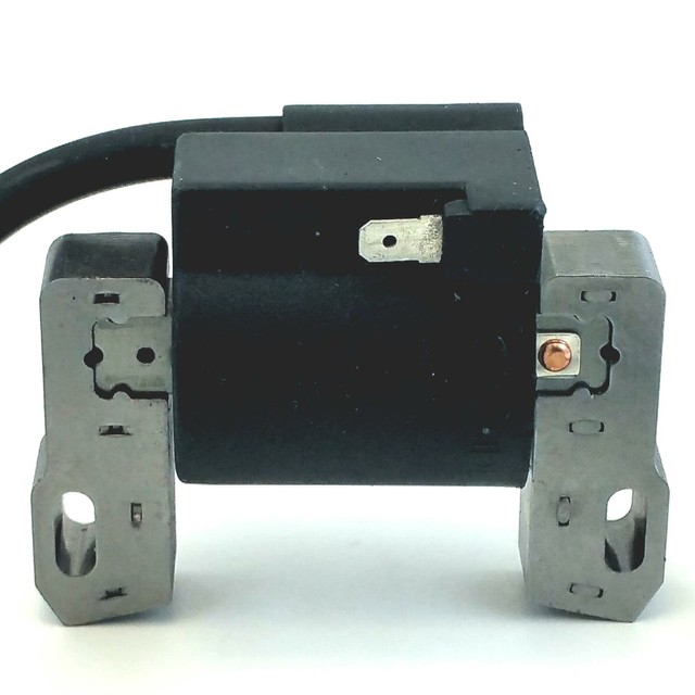 Ignition for BRIGGS & STRATTON Engines [845126