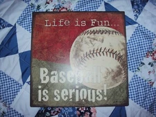 Life is Fun Baseball is Serious Metal Sign Kirklands