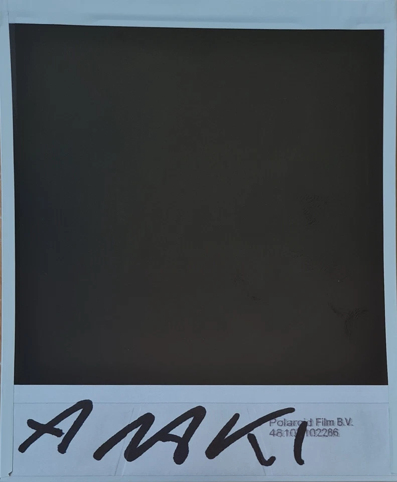 NOBUYOSHI ARAKI * Nude * POLAROID ORIGINAL VOM KÜNSTLER SIGNIERT & ZERTIFIZIERT - Bild 3 von 4