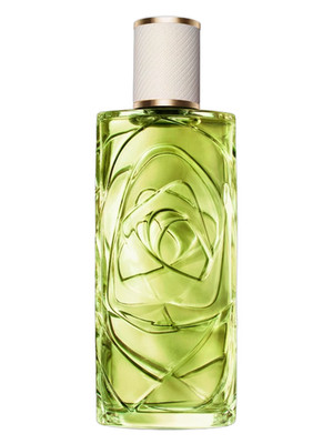 2025-O OFF NOW BY LANCOME-EDT-SPRAY-3.4 OZ-100 ML-AUTHENTIC-TST-MADE IN FRANCE