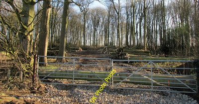 Foto 6x4 Coleby Holz. Burton Stather Baumfällung in Arbeit. c2016