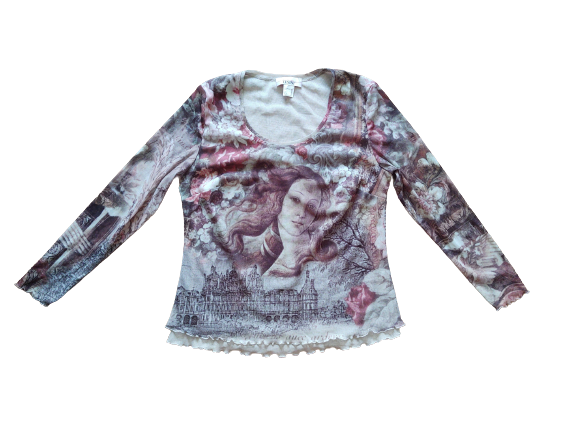 long sleeve mesh blouse