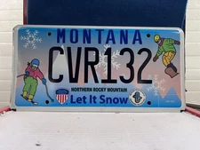 LET IT SNOW NORTHERN ROCKY MOUNTAIN SKI INSTRUCTORS MONTANA LICENSE PLATE